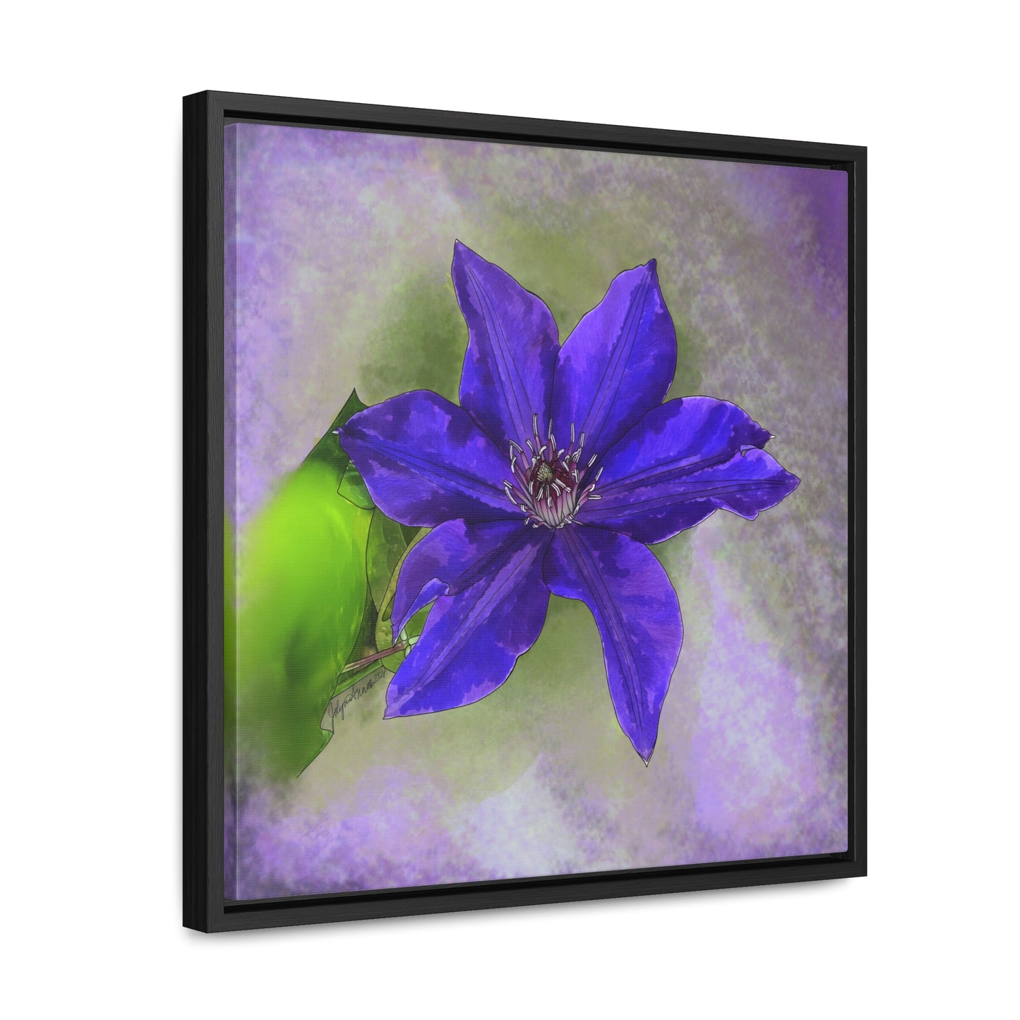 Purple Clematis - Original Art - Gallery Canvas Wraps, Square Frame