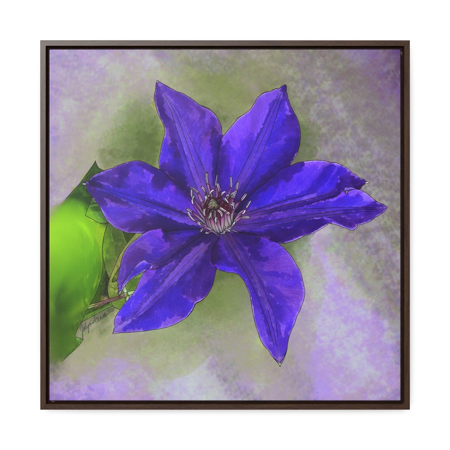 Purple Clematis - Original Art - Gallery Canvas Wraps, Square Frame