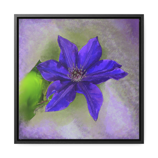 Purple Clematis - Original Art - Gallery Canvas Wraps, Square Frame