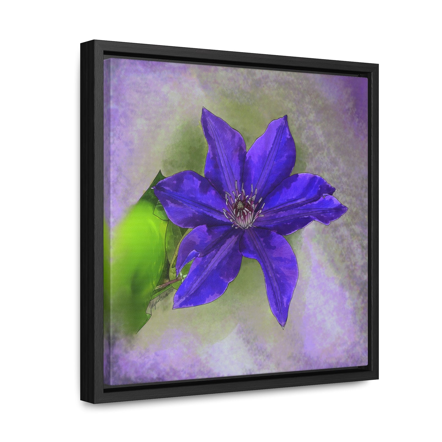 Purple Clematis - Original Art - Gallery Canvas Wraps, Square Frame