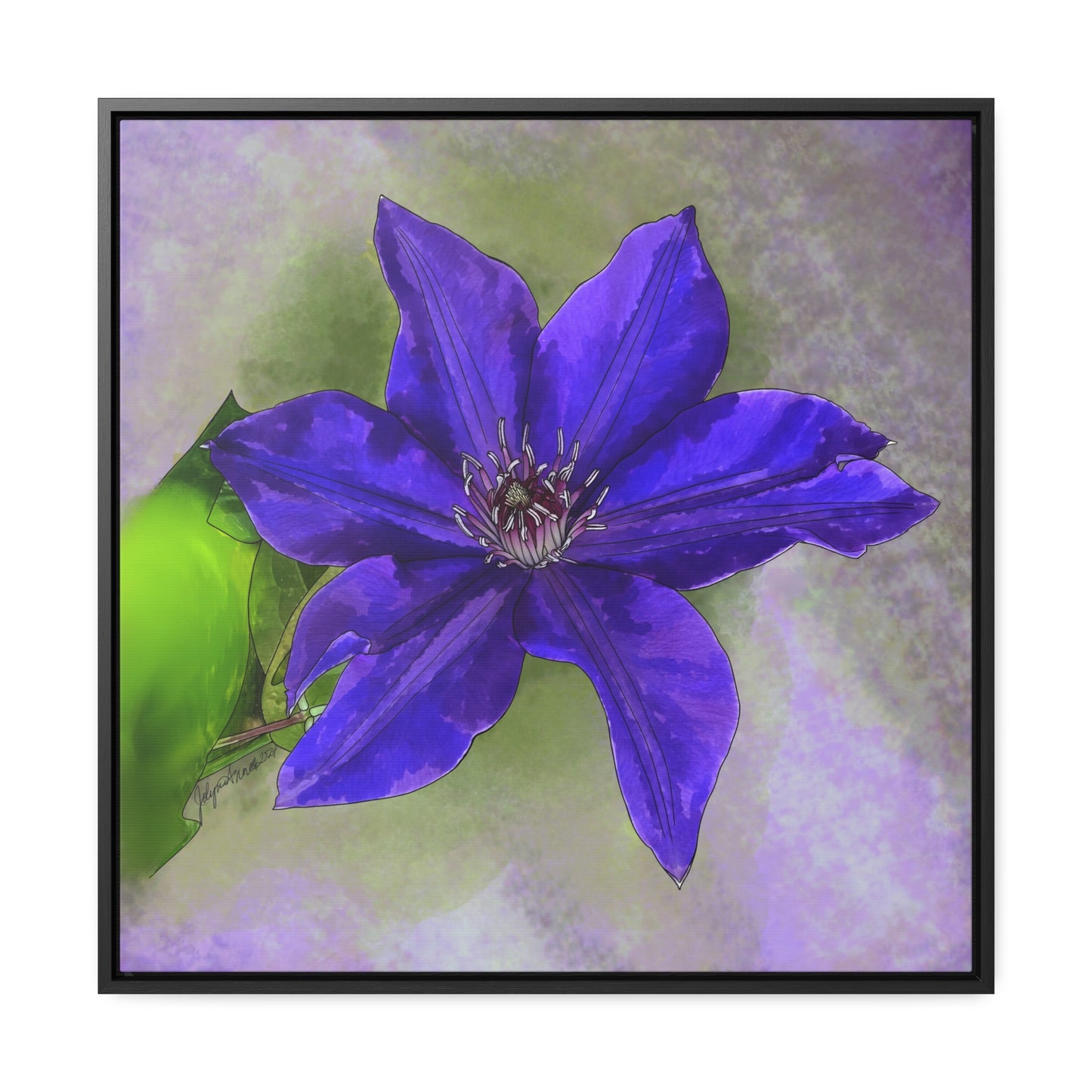 Purple Clematis - Original Art - Gallery Canvas Wraps, Square Frame